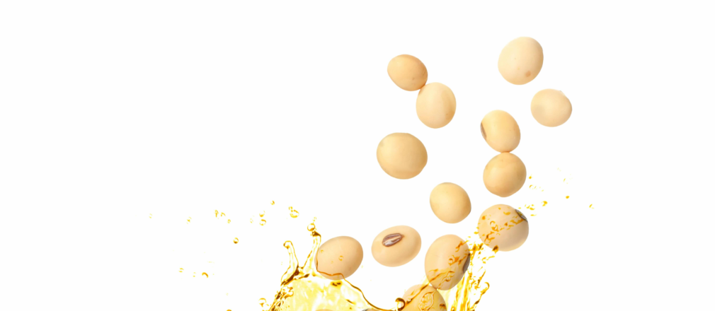 Aceite de soya y canola